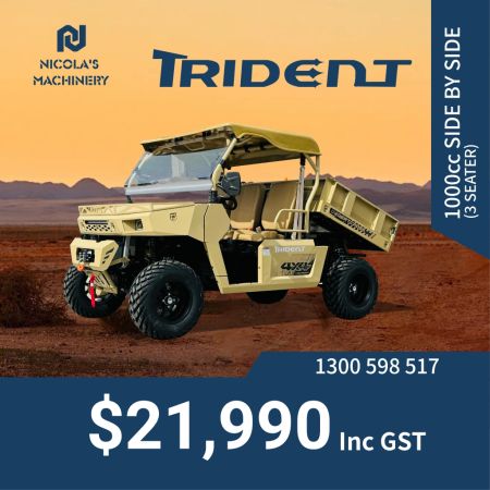 TRIDENT Desertcross 1000cc SIDE BY SIDE WITH 3 SEATERS image
