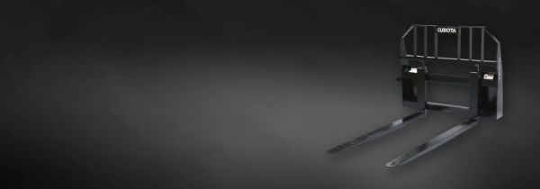 Pallet Forks AP-PFL56 Series image