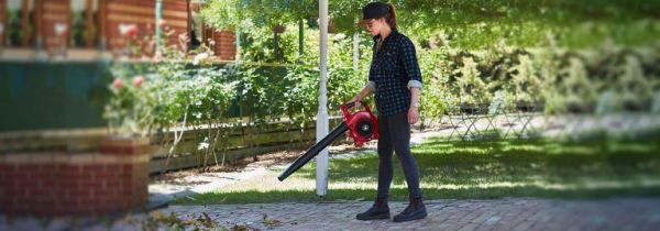 Handheld Blower image