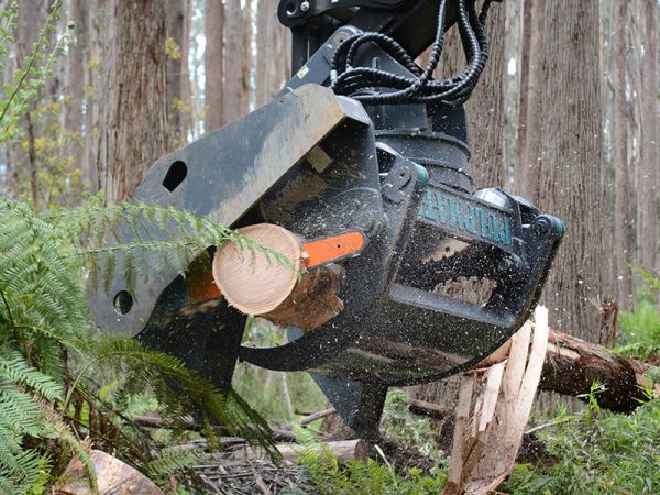 Pulpmate 652 Forestry Head to suit a 30 tonne machine base and above. Hardwood Forest Products Australia image