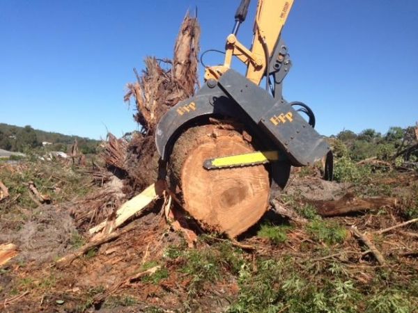 Cut-Off Saw with 180 Deg cut. Hardwood Forest Products Austalia image