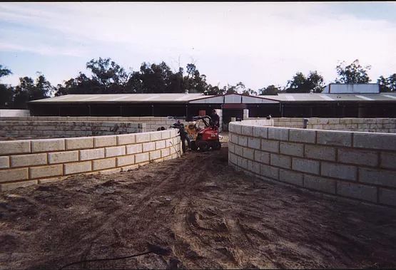 DINGO BLOCK GRAB image