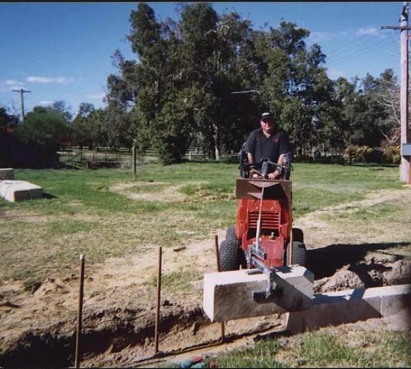 DINGO BLOCK GRAB image